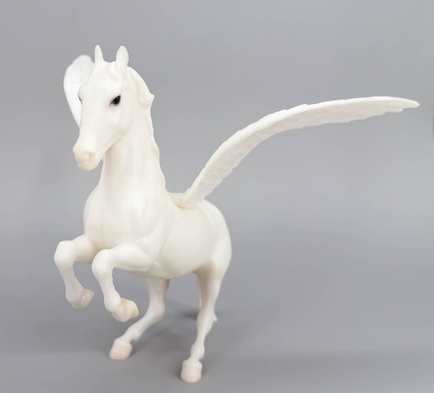 Lipizzaner ~ Pegasus - Original Release - SIGNED (sale for charity)