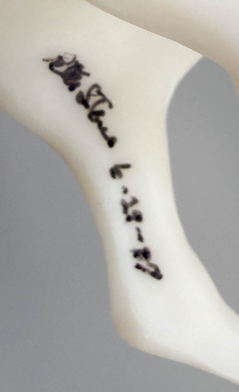 Lipizzaner ~ Pegasus - Original Release - SIGNED (sale for charity)