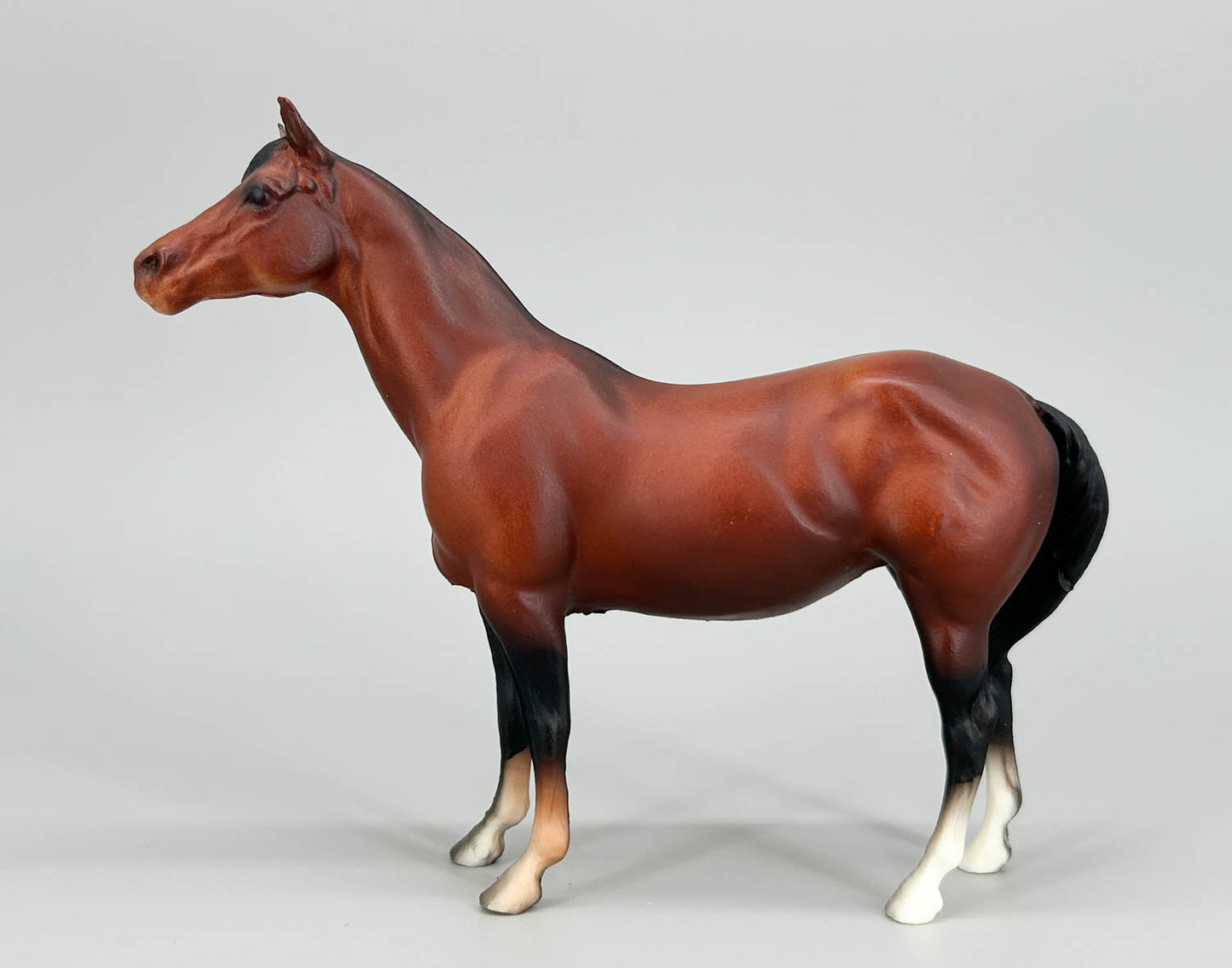 Quarter Horse Mare, Bay - VARIATION: Unpainted hind hooves (sale for charity)