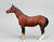 Quarter Horse Mare, Bay - VARIATION: Unpainted hind hooves (sale for charity)