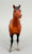 Quarter Horse Mare, Bay - VARIATION: Unpainted hind hooves (sale for charity)