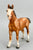 Clydesdale Foal, Chestnut (sale for charity)
