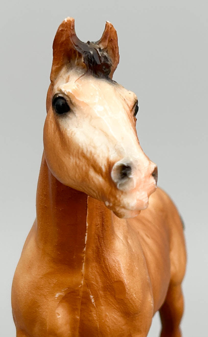 Clydesdale Foal, Chestnut (sale for charity)
