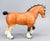 Clydesdale Stallion, Golden Bay (Buckskin) (sale for charity)