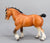 Clydesdale Stallion, Golden Bay (Buckskin) (sale for charity)