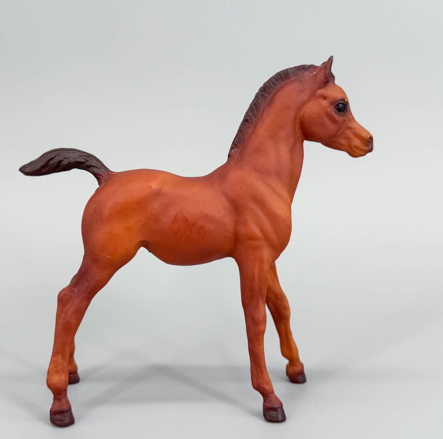 Family Arabian Foal, Chestnut (sale for charity)