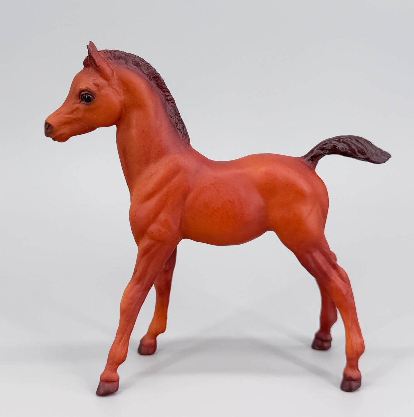 Family Arabian Foal, Chestnut (sale for charity)