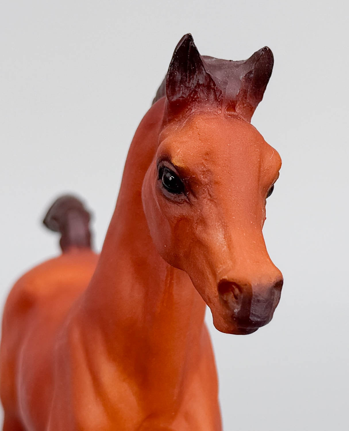 Family Arabian Foal, Chestnut (sale for charity)