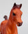 Family Arabian Foal, Chestnut (sale for charity)