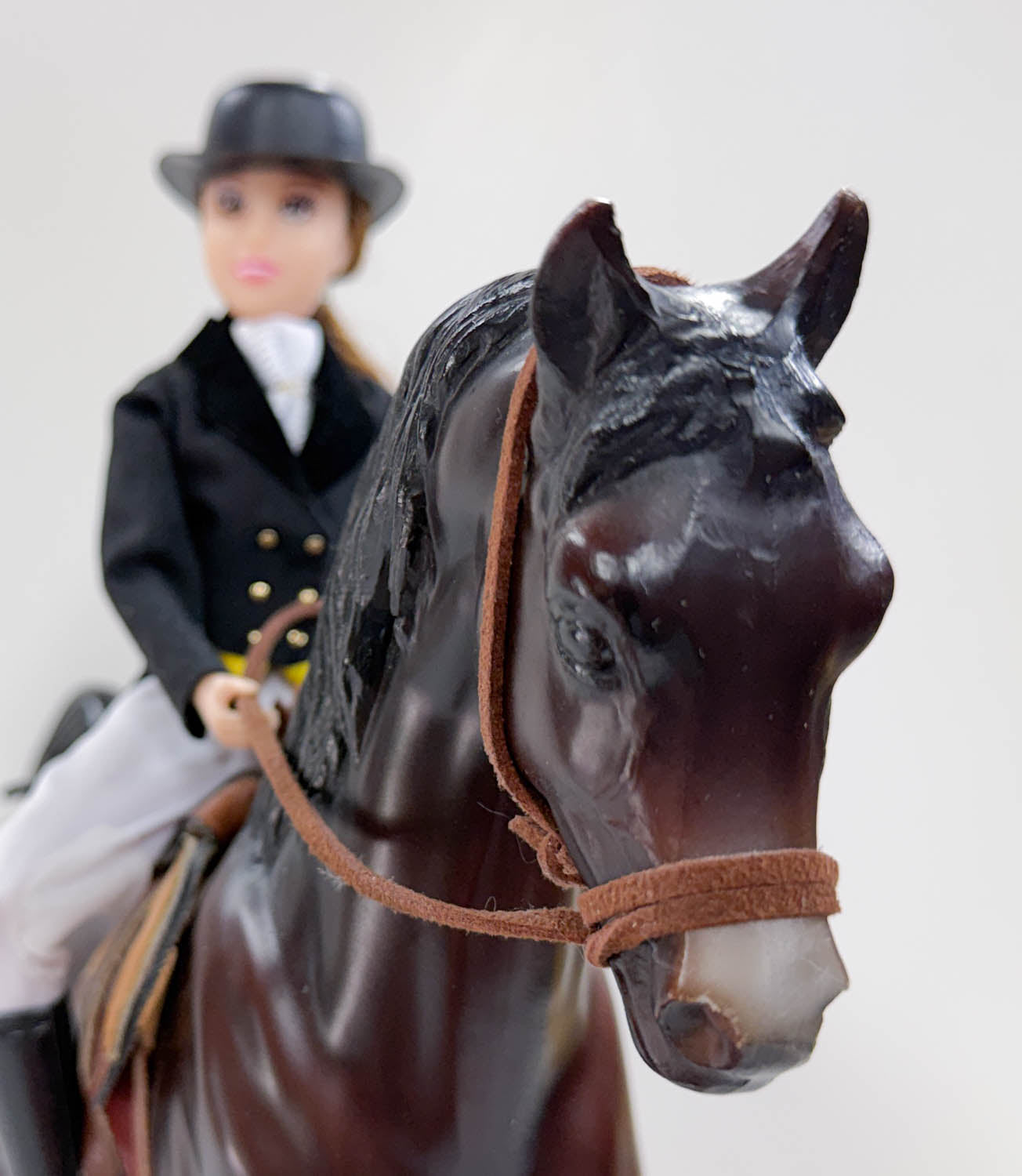 Family Arabian Stallion ~ Devil Wind w/ Tack and Rider (sale for charity)