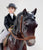 Family Arabian Stallion ~ Devil Wind w/ Tack and Rider (sale for charity)