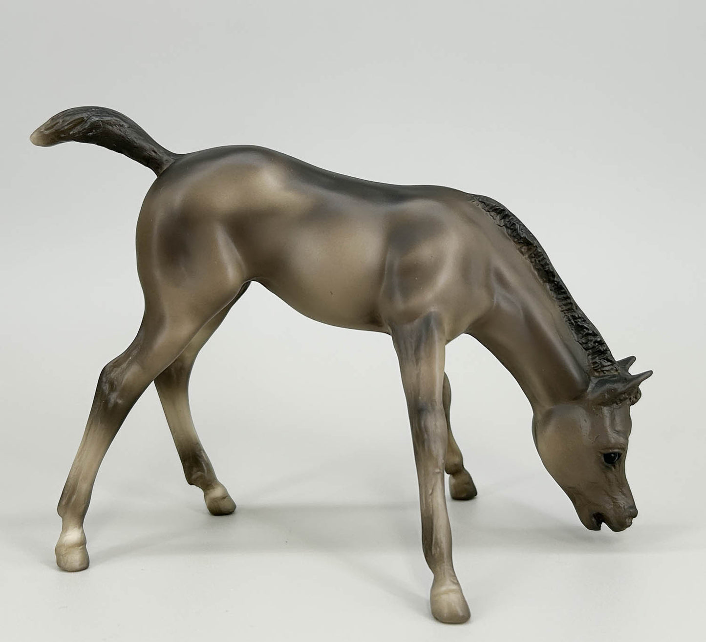 Grazing Foal ~ Crispin - Holiday SR 2016 (sale for charity)