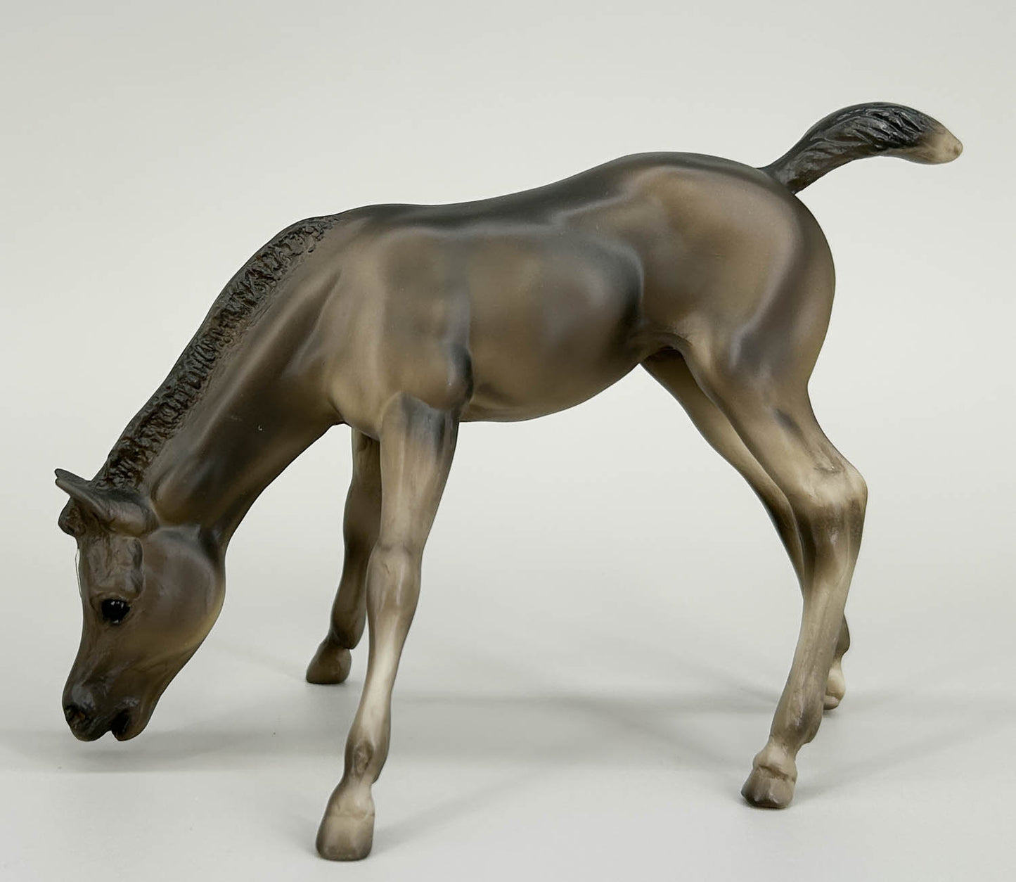Grazing Foal ~ Crispin - Holiday SR 2016 (sale for charity)