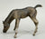 Grazing Foal ~ Crispin - Holiday SR 2016 (sale for charity)