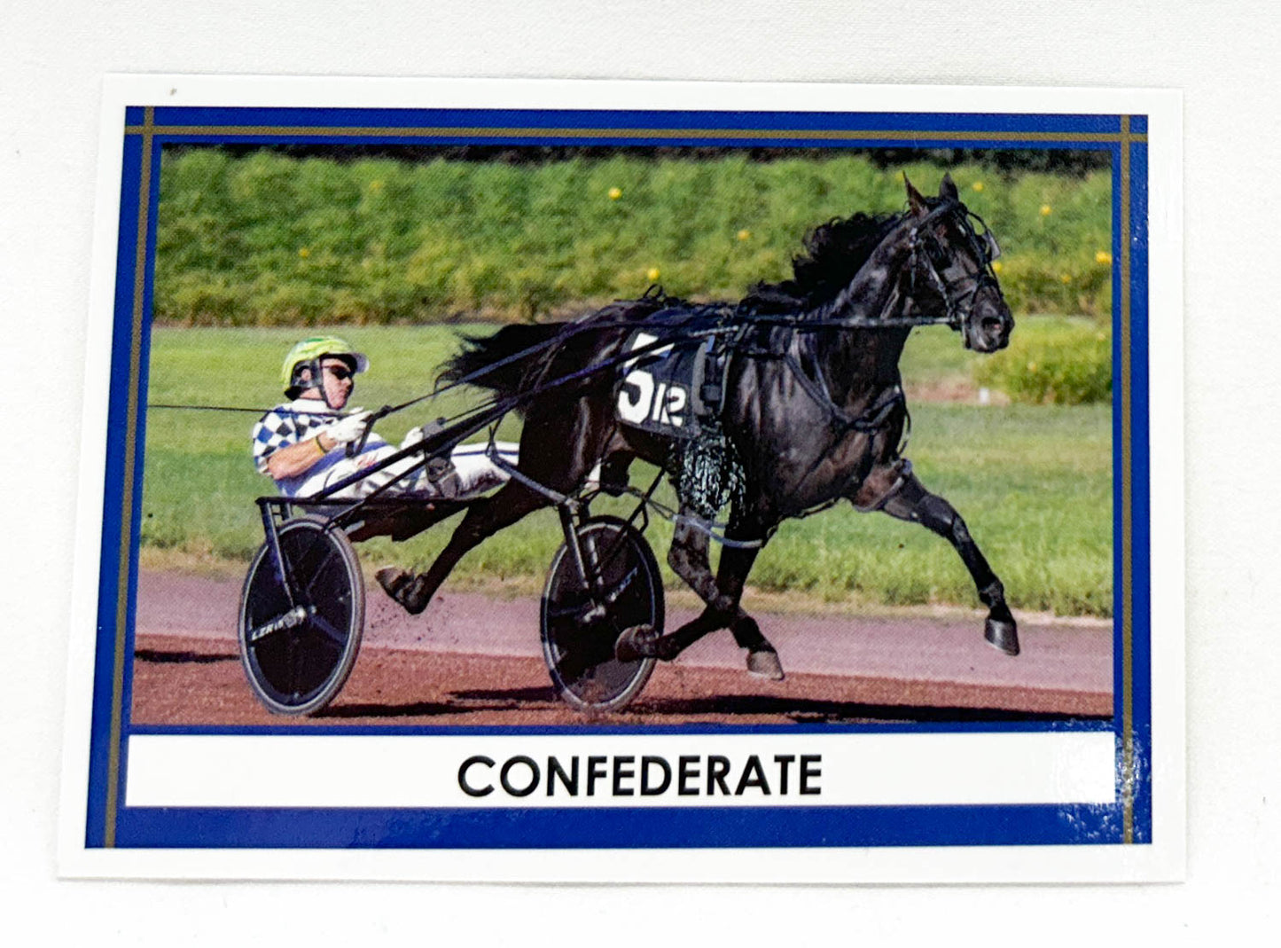 Collector's Trading Card ~ Confederate - Harness Heroes (sale for charity)