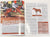 Just About Horses Magazine Vol. 30, No. 3, 2003 May/June