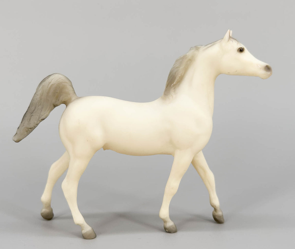 Arabian Stallion, Alabaster (sale for charity)