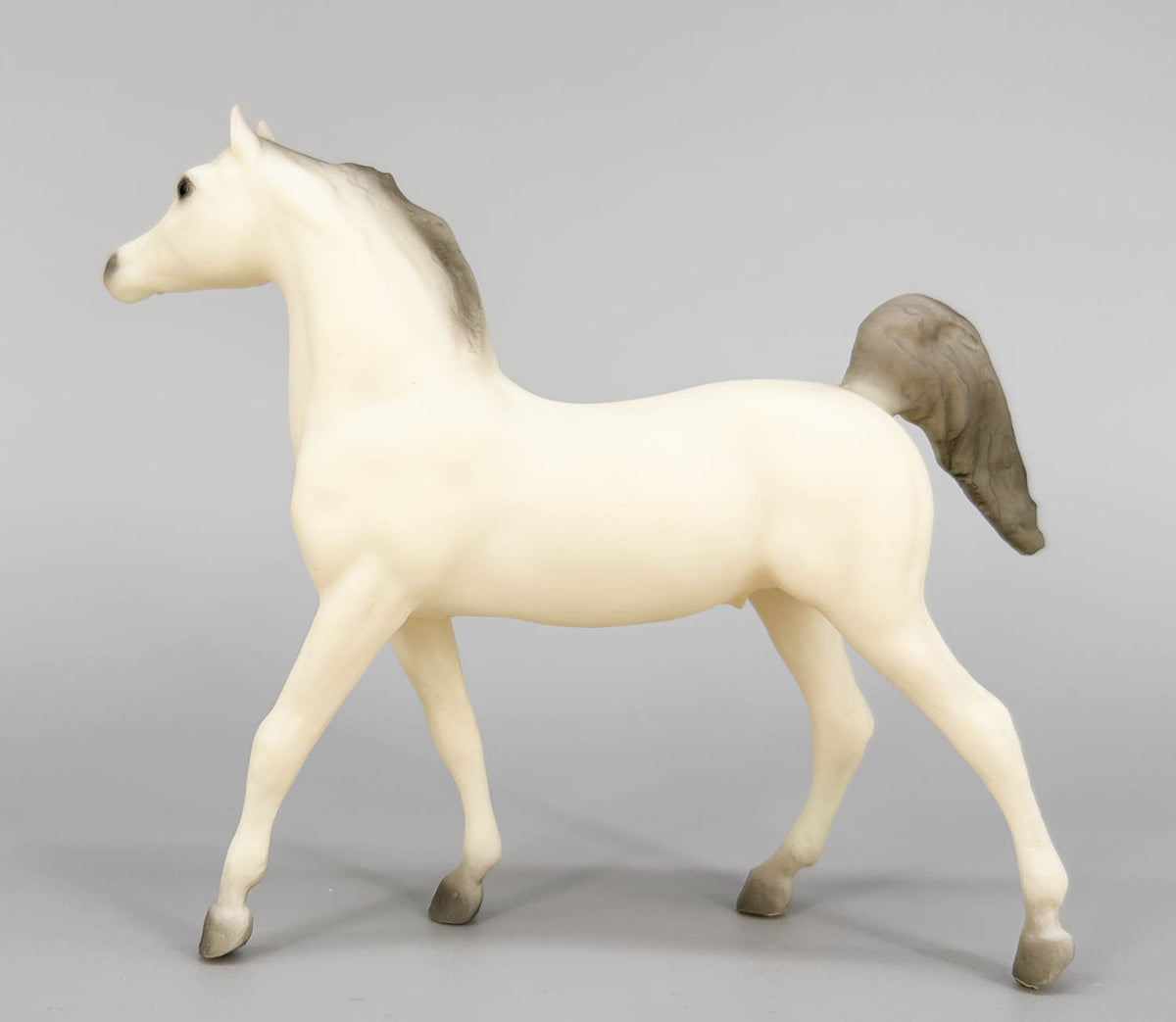Arabian Stallion, Alabaster (sale for charity)