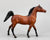 Arabian Stallion, Bay (sale for charity)