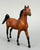 Arabian Stallion, Bay (sale for charity)
