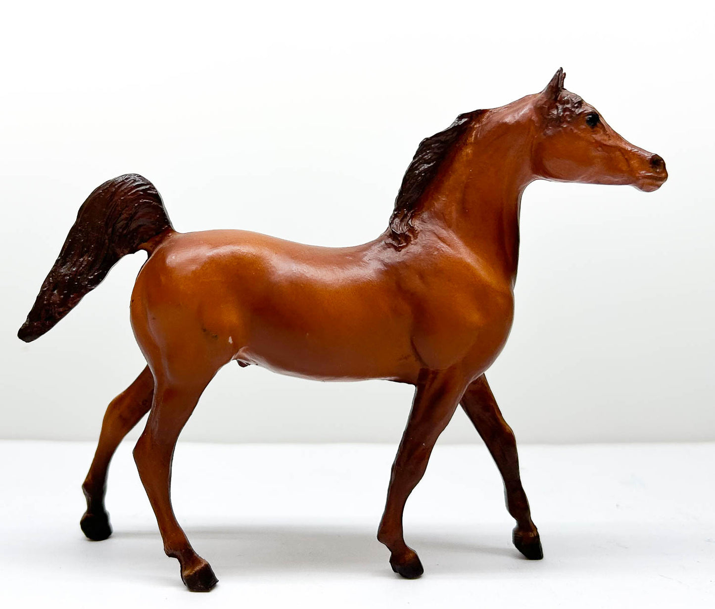 Arabian Stallion, Chestnut (sale for charity)