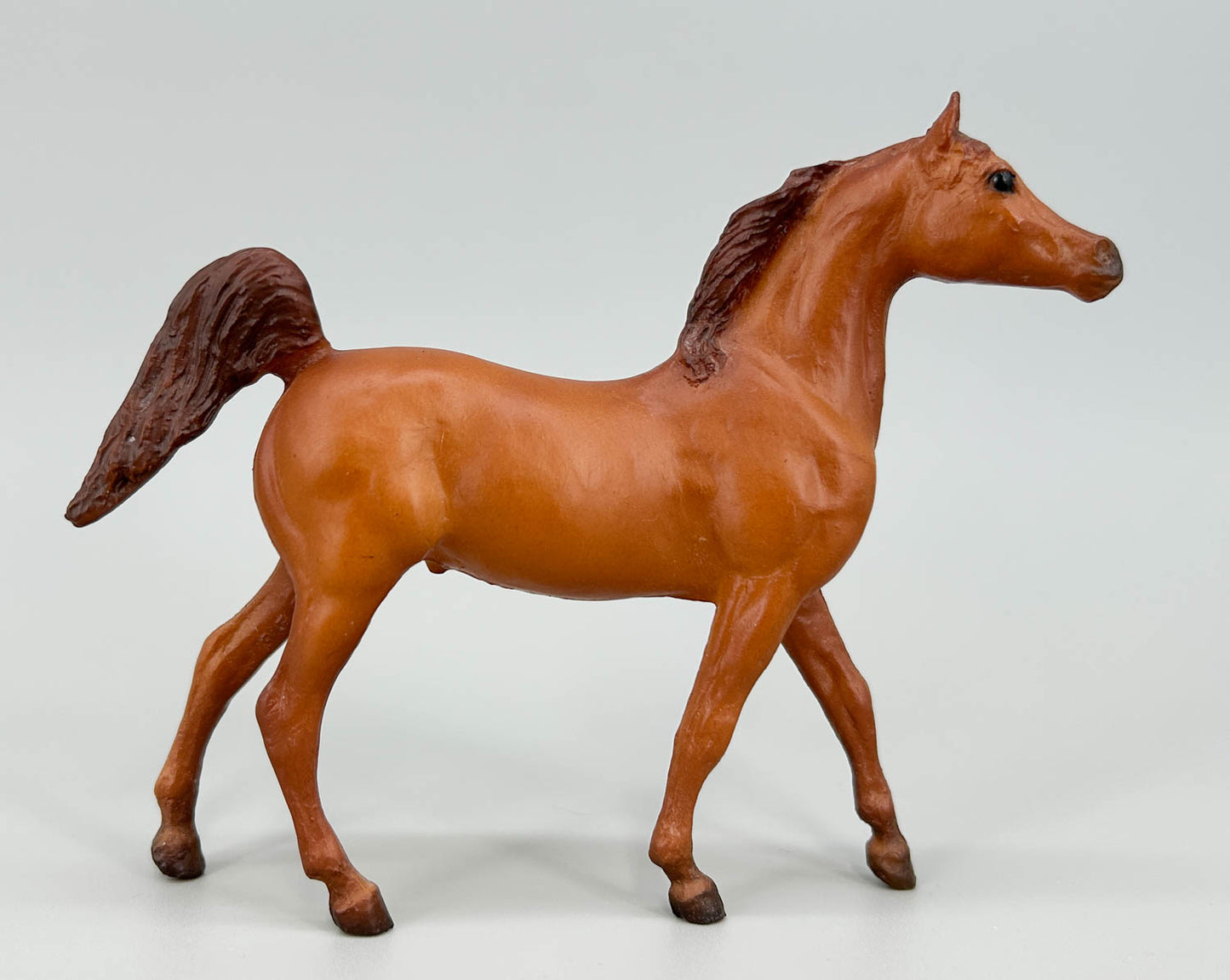 Arabian Stallion, Chestnut (sale for charity)
