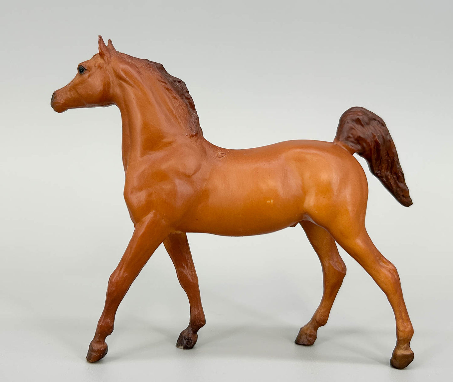 Arabian Stallion, Chestnut (sale for charity)