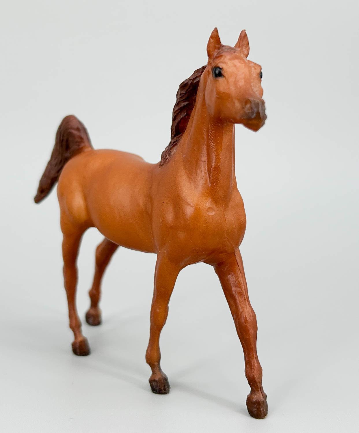 Arabian Stallion, Chestnut (sale for charity)