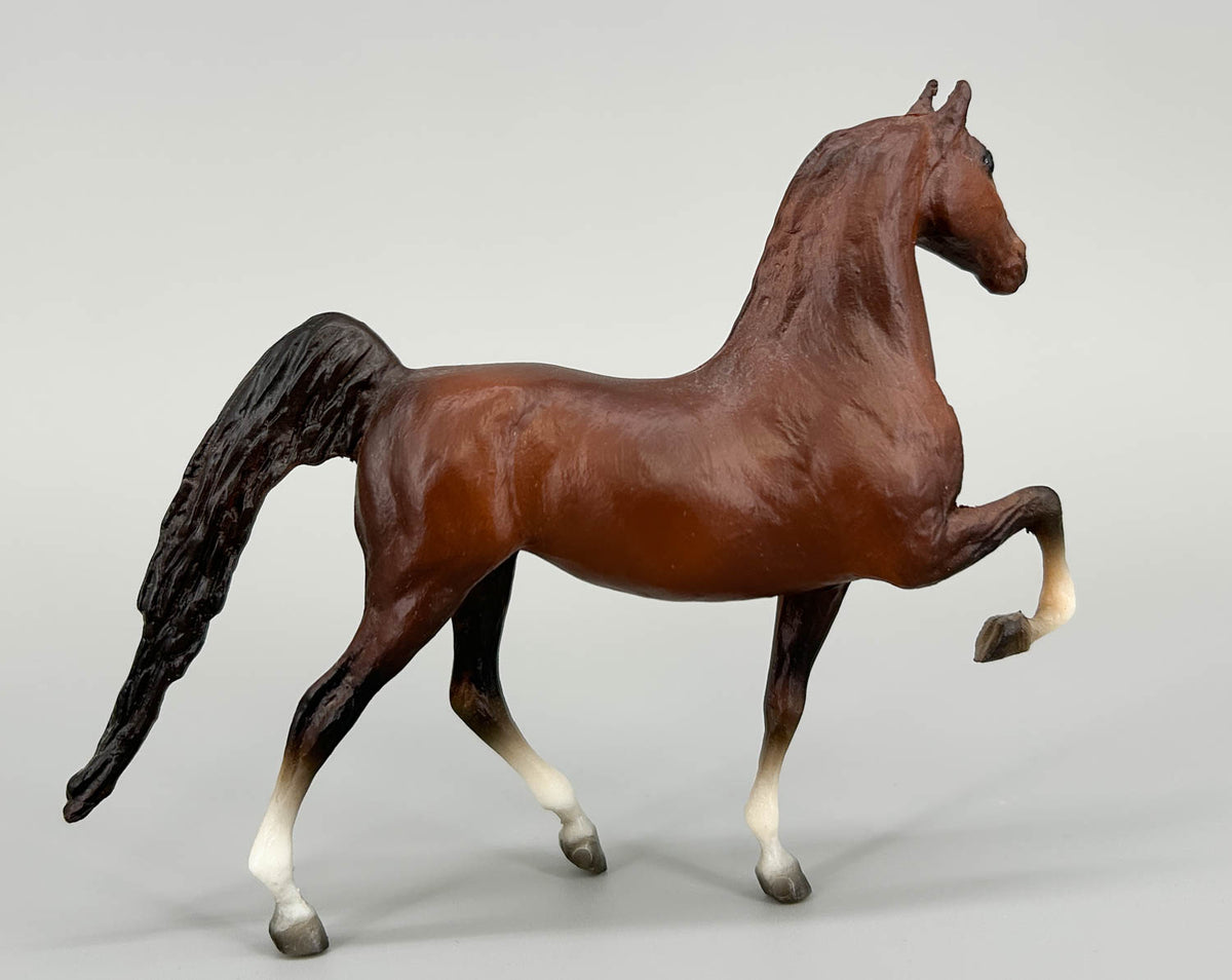 American Saddlebred Stallion, Dark Chestnut - JCP SR (sale for charity)
