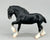 Clydesdale, Black Shire (sale for charity)