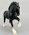 Clydesdale, Black Shire (sale for charity)