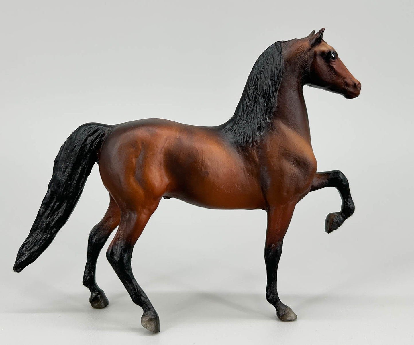 Morgan Stallion, Shaded Bay - 1988 JCP SR (sale for charity)