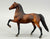 Morgan Stallion, Shaded Bay - 1988 JCP SR (sale for charity)