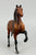 Morgan Stallion, Shaded Bay - 1988 JCP SR (sale for charity)