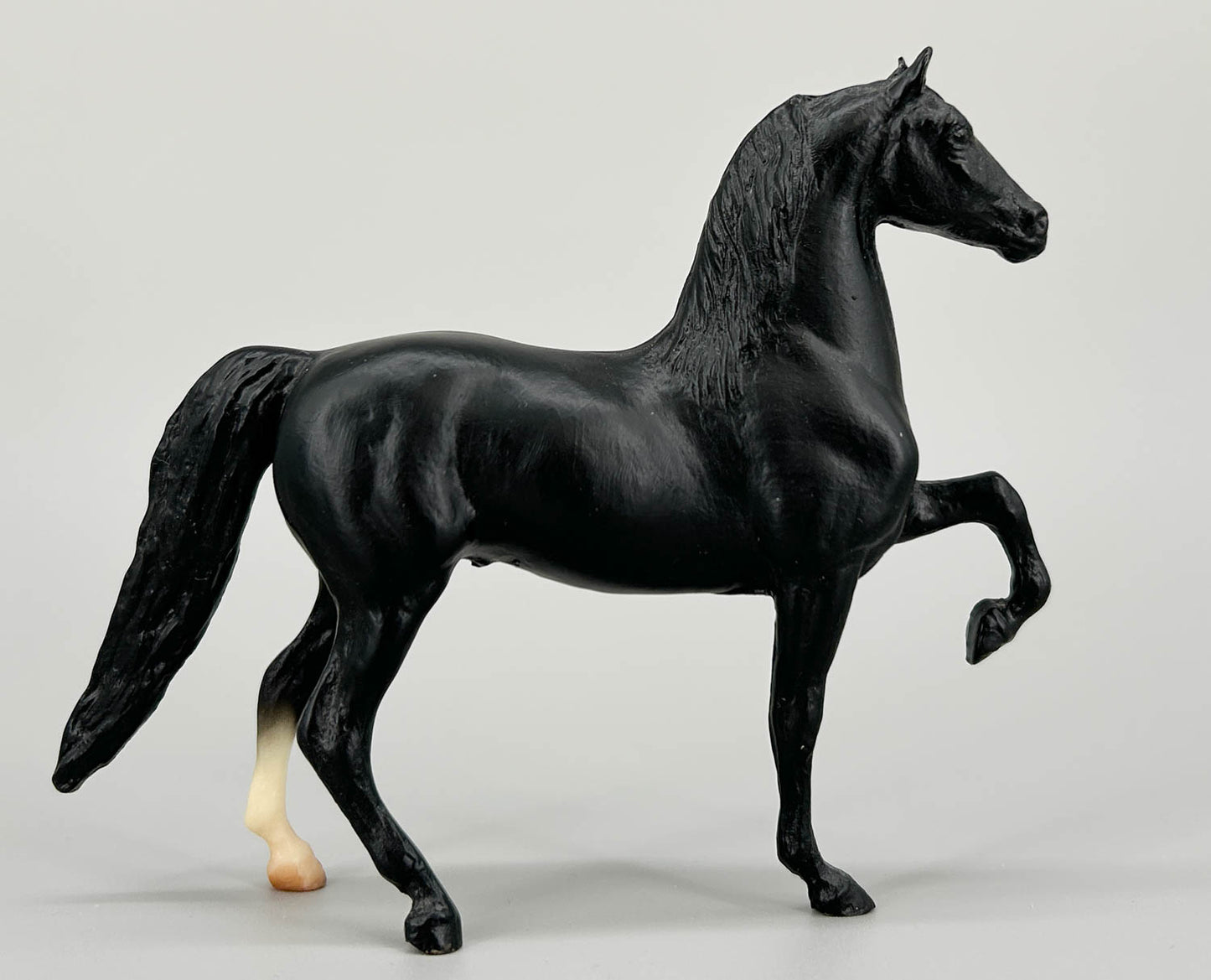 Morgan Stallion, Black (sale for charity)