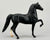 Morgan Stallion, Black (sale for charity)