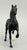 Morgan Stallion, Black (sale for charity)