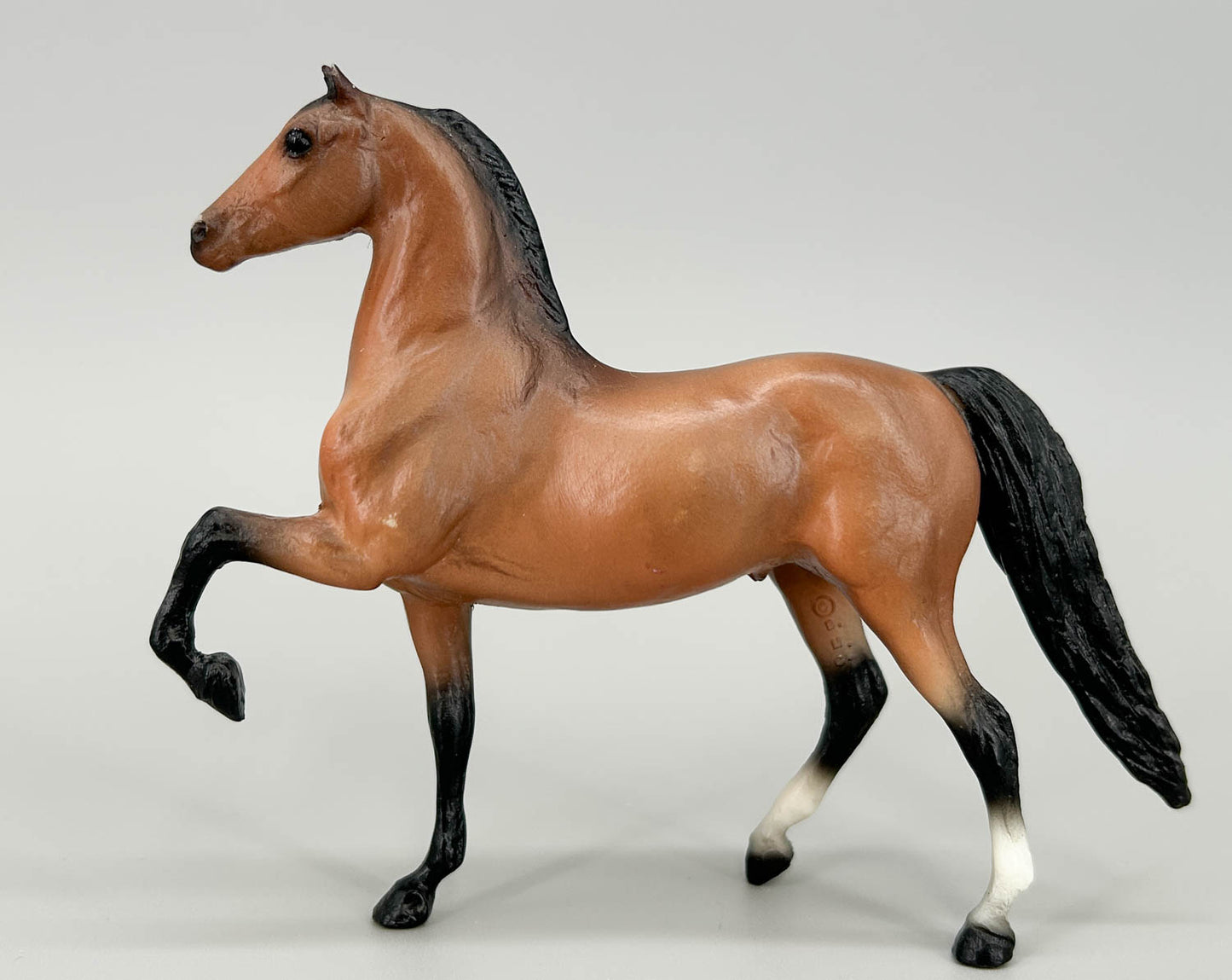 Morgan Stallion, Light Bay - JCP SR (sale for charity)