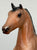 Morgan Stallion, Light Bay - JCP SR (sale for charity)
