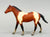 Quarter Horse Stallion, Bay Pinto (sale for charity)