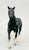 Quarter Horse Stallion, Black - JC Penney Parade of Breeds II (sale for charity)