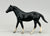 Quarter Horse Stallion, Black - JC Penney Parade of Breeds II (sale for charity)