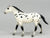 Quarter Horse, Black Leopard Appaloosa - JCP SR (sale for charity)