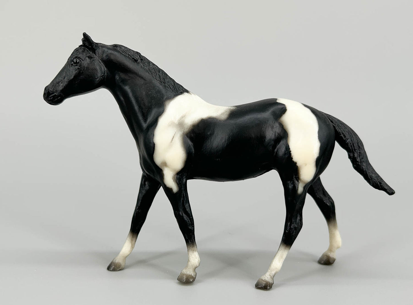 Quarter Horse Stallion, Black Pinto (sale for charity)