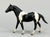 Quarter Horse Stallion, Black Pinto (sale for charity)