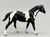 Quarter Horse Stallion, Black Pinto (sale for charity)