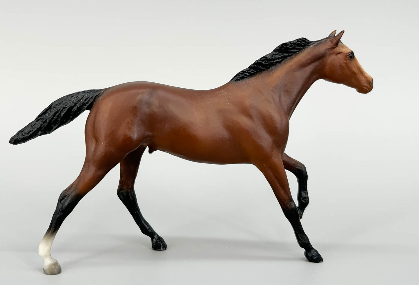 Thoroughbred Stallion, Bay - 1988 JCP SR (sale for charity)