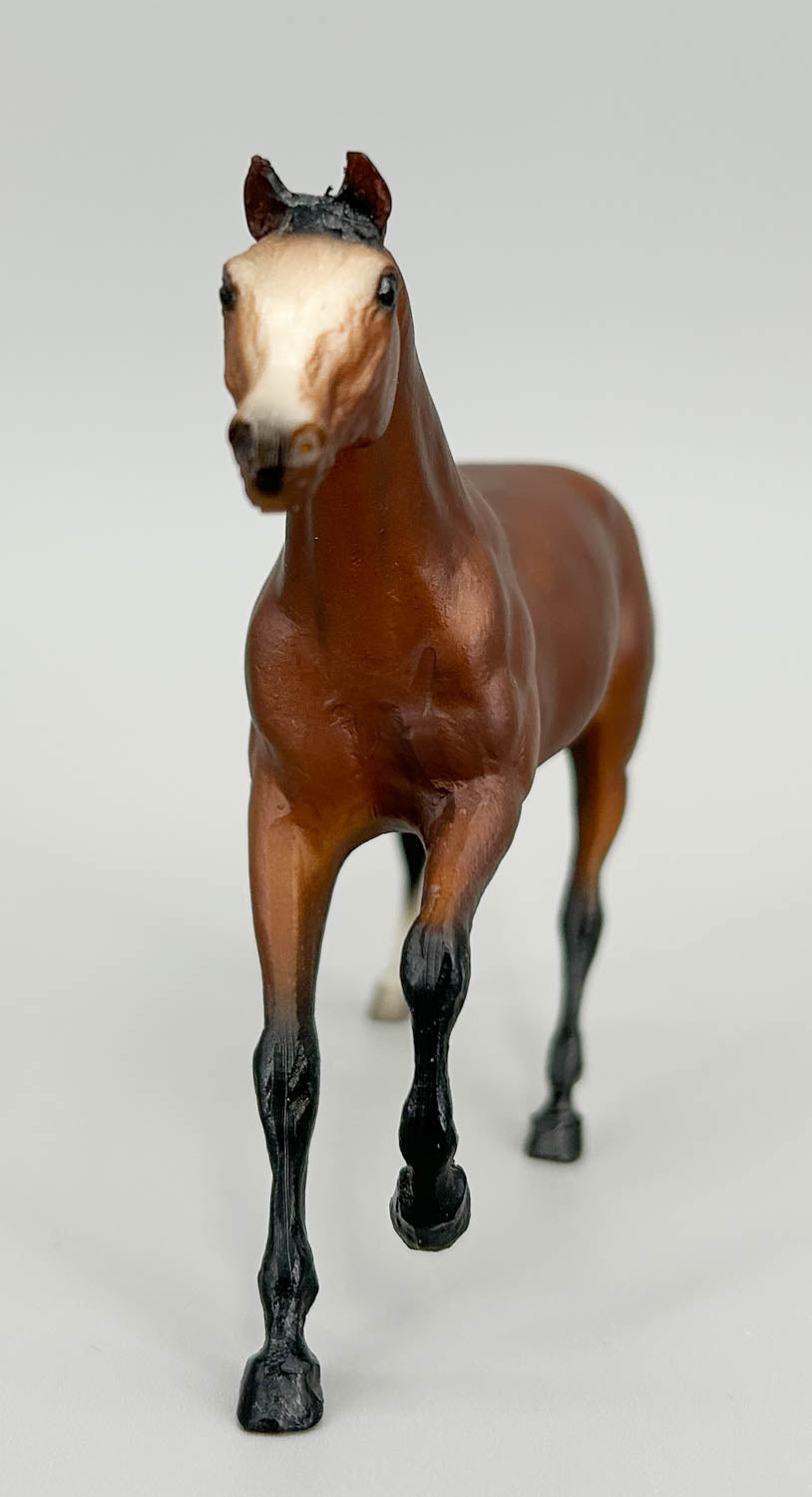Thoroughbred Stallion, Bay - 1988 JCP SR (sale for charity)