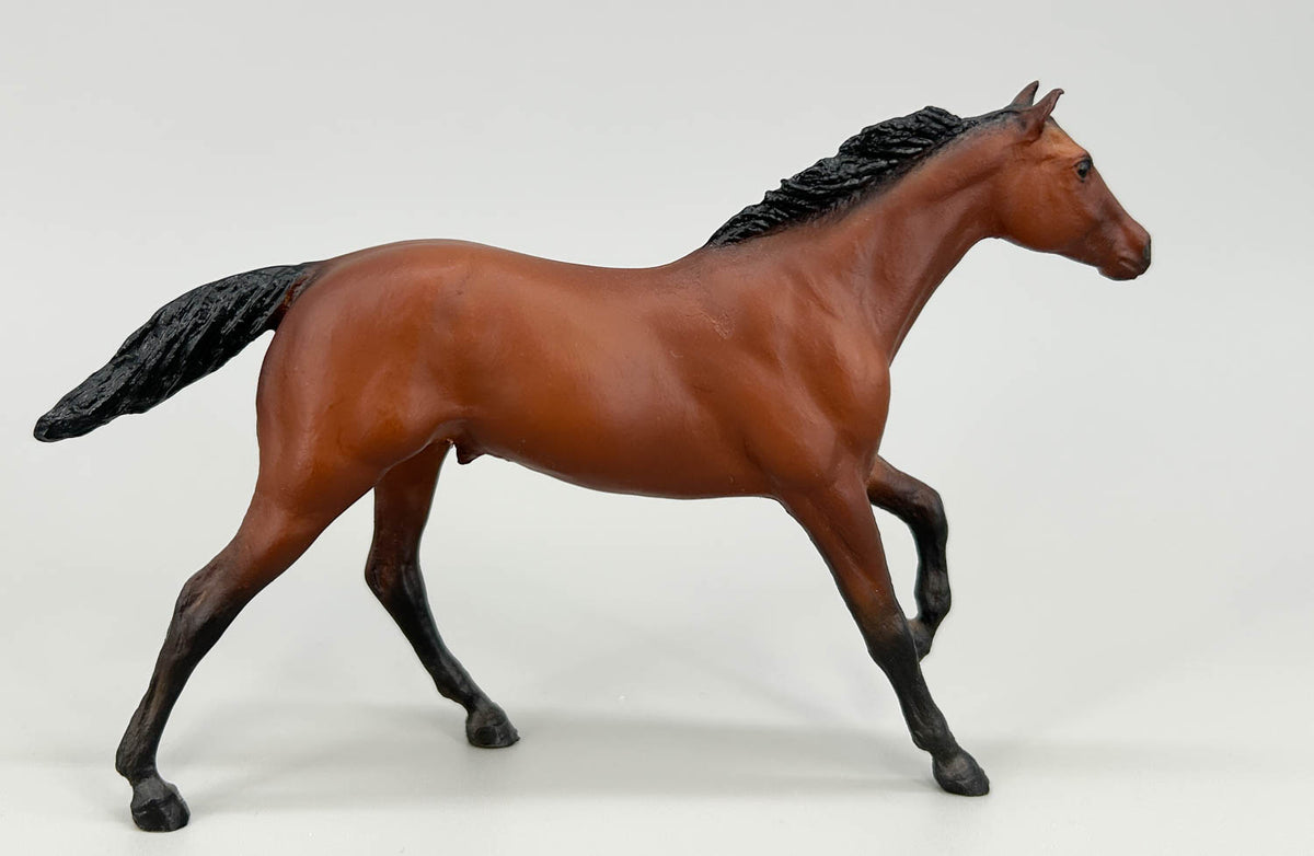 Thoroughbred Stallion, Bay (sale for charity)