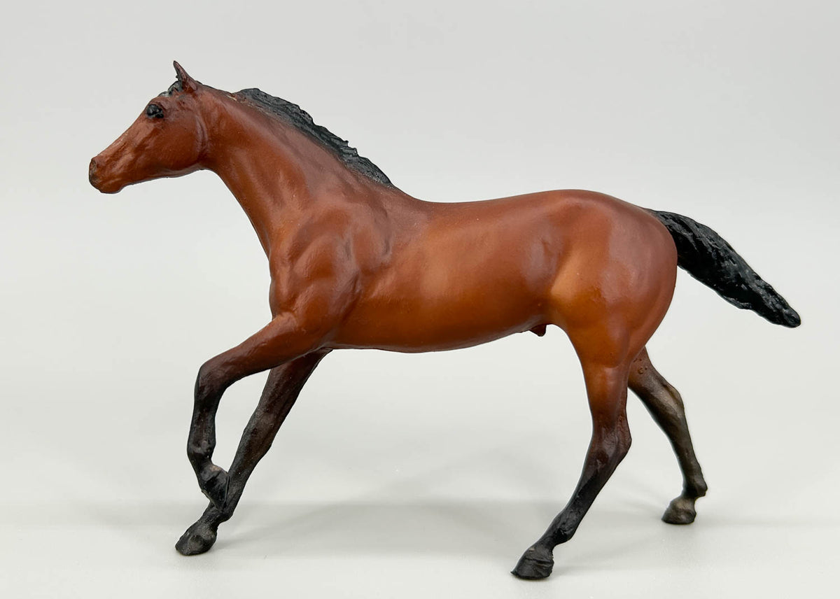 Thoroughbred Stallion, Bay (sale for charity)